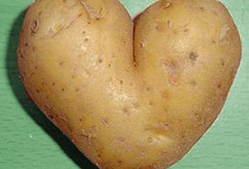 Die eigene Kartoffelernte