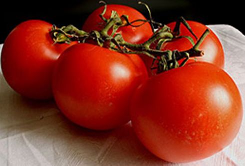 Lust auf Tomaten