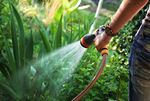 Bewässerung: Machen Sie Ihre Pflanzen fit für die Urlaubszeit!