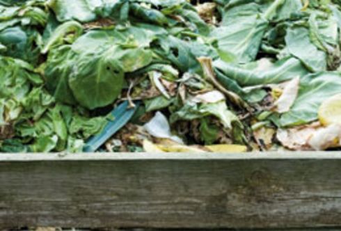 Er duftet - der eigene gesunde Kompost