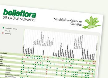 Mischkultur-Kalender Gemüse