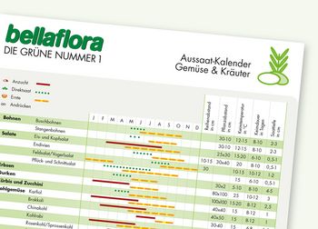 Aussaat-Kalender Gemüse und Kräuter