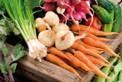 Gemüse haltbar machen - Vitaminbomben für den Winter