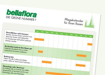 Rasenpflege-Kalender