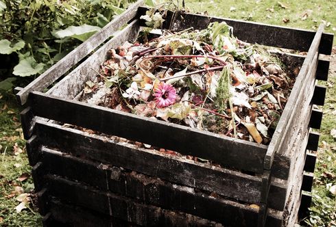 Des Gärtners schwarzes Gold: Der Kompost