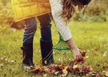 Herbstlaub als Kompost nutzen