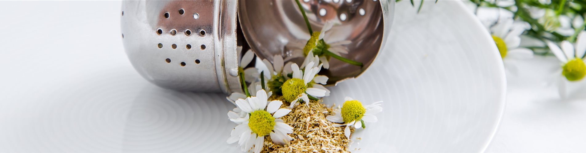 Kamillenblüten in einem Teesieb