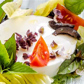 Frischkäse mit Strauchbasilikum