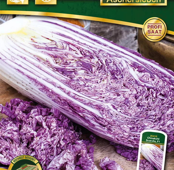 Chinakohl Scarvita 