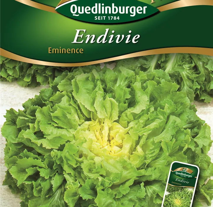 Endivie Eminence Endivie Eminence