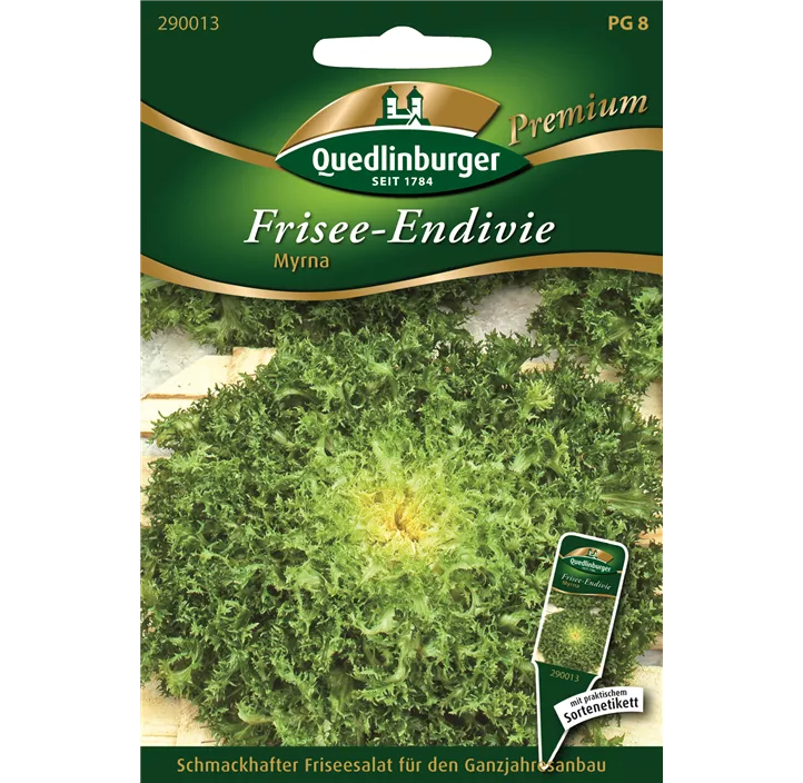 Frisse-Endivie Myrna