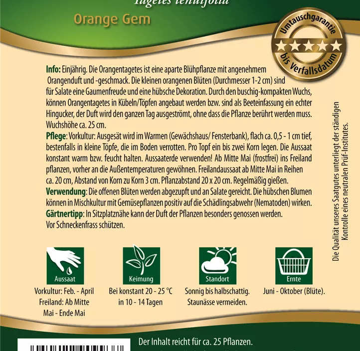 Orangentagetes Orange Gem Orangentagetes Orange Gem