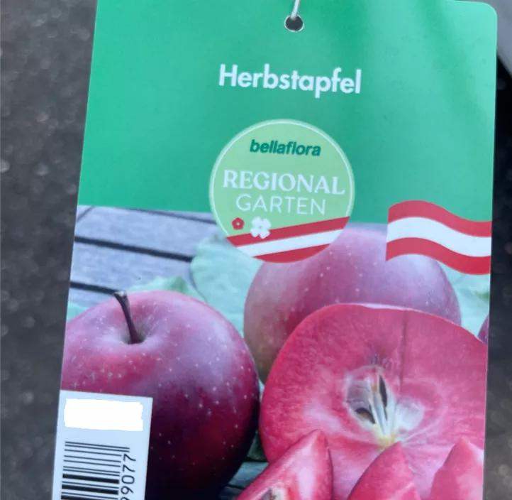 Apfel 'Roter Mond' Apfel 'Roter Mond'