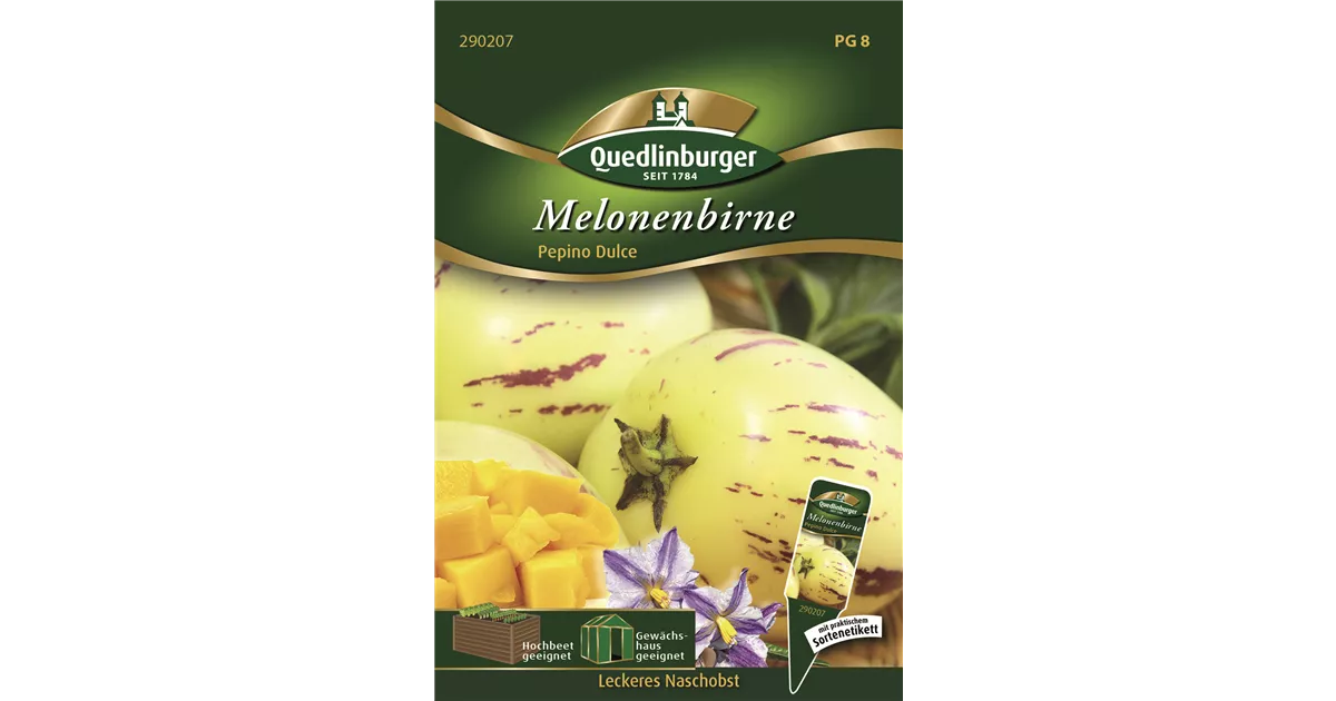 Melonenbirne Pepino Dulce - Bellaflora