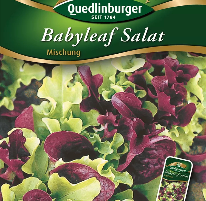 Babyleaf Salat Mischung Babyleaf Salat Mischung