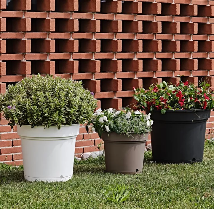 Topf Hydral mit Untersetzer