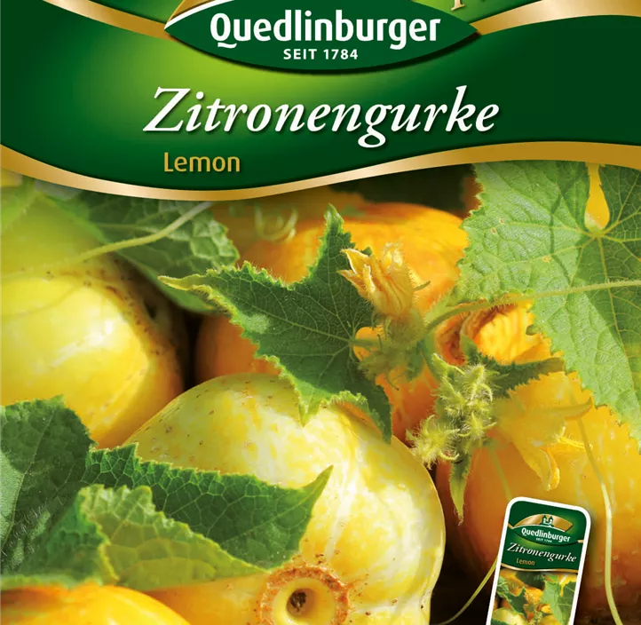 Zitronengurke Lemon