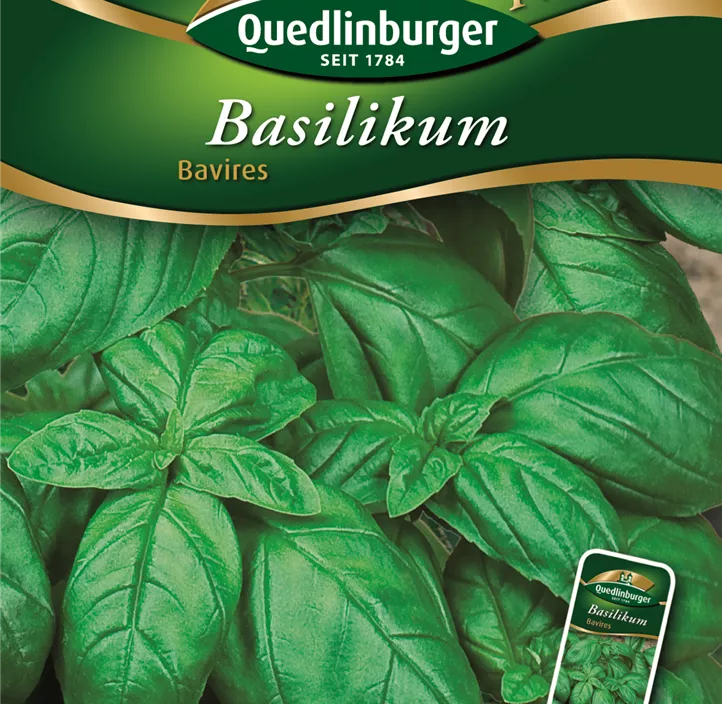 Basilikum Bavires Basilikum Bavires