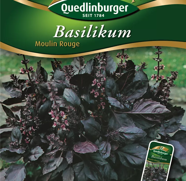 Basilikum Moulin Rouge Basilikum Moulin Rouge