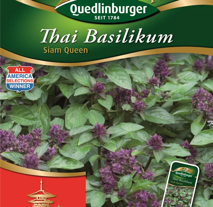 Basilikum Thai- Siam Queen
