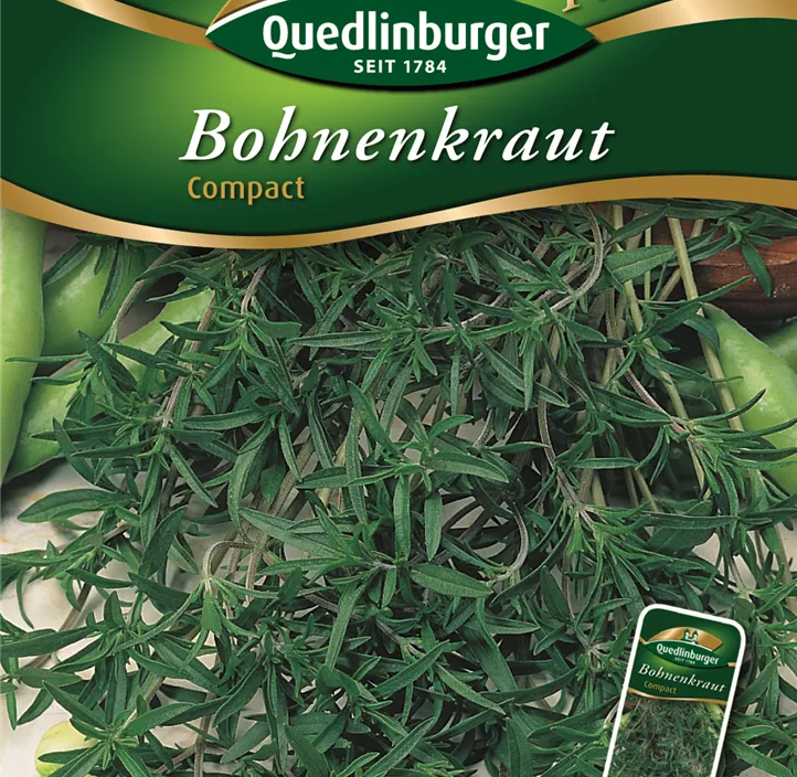 Bohnenkraut Compact Bohnenkraut Compact