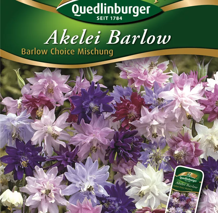 Akelei Barlow Choice Mischung  Akelei Barlow Choice Mischung