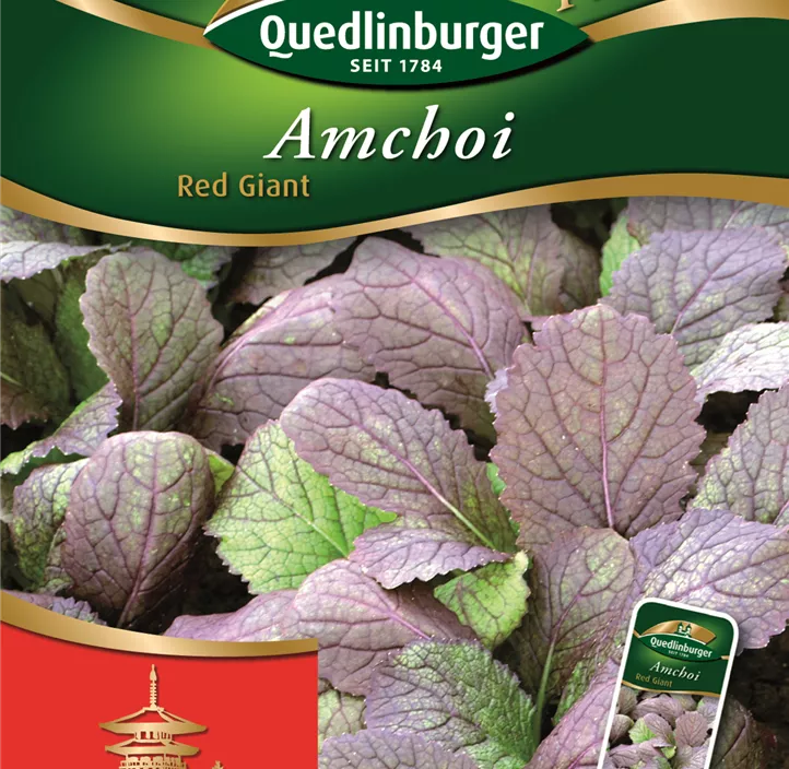 Amchoi Red Giant  Amchoi Red Giant