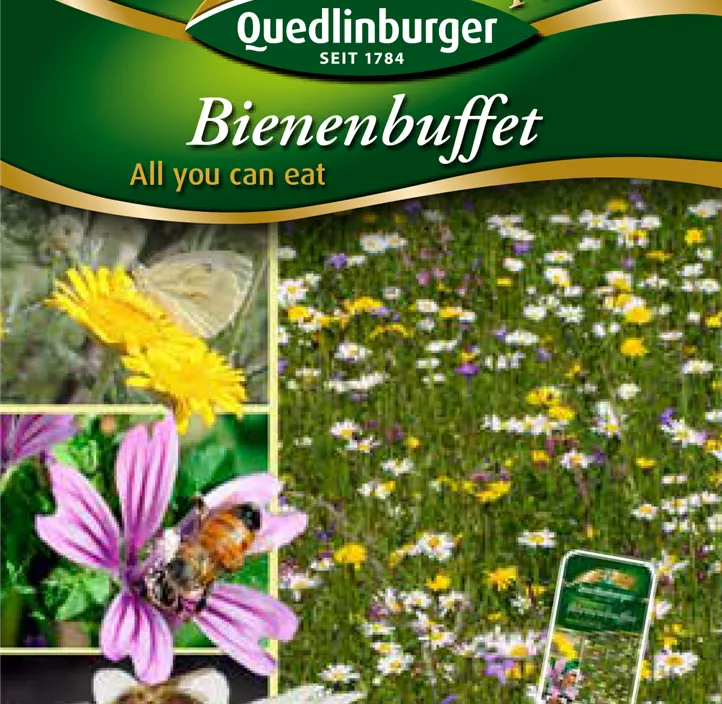 Bienenbuffet mehrjährig