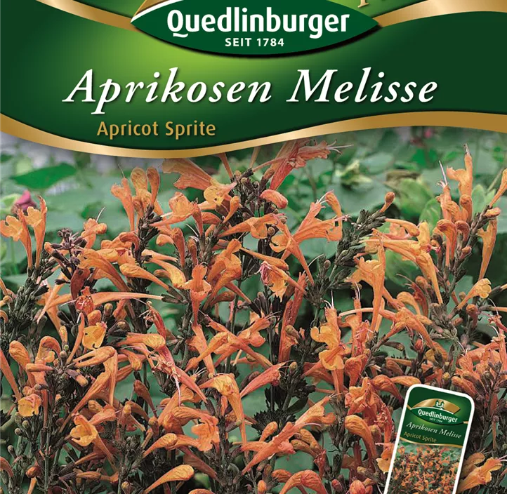 Aprikosen Melisse Aprikosen Melisse