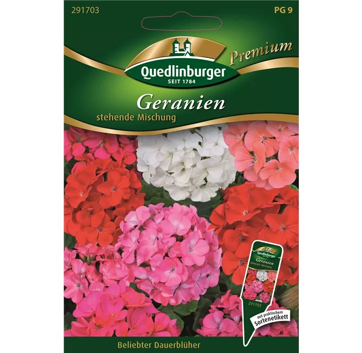Pelargonie stehende Mischung