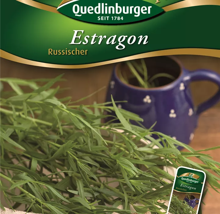 Estragon Russischer Estragon Russischer