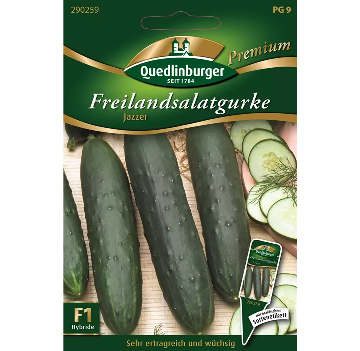 Freilandsalatgurke Jazzer