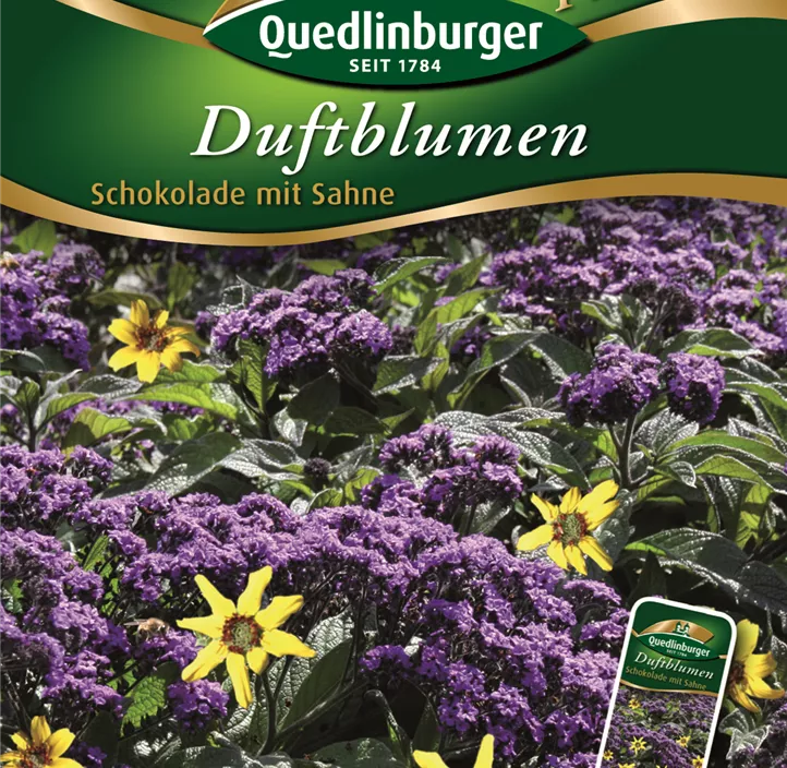 Duftblumen Schokolade m. Sahne