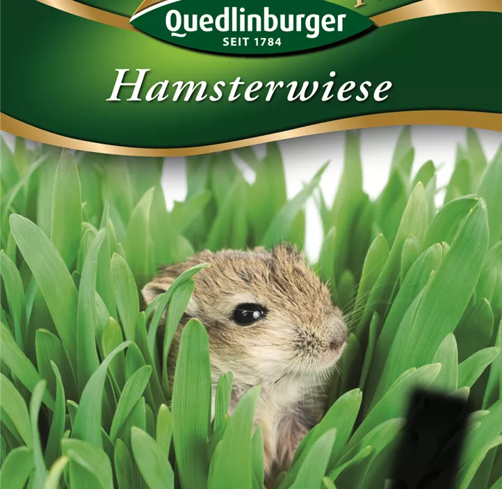 Hamsterwiese Hamsterwiese