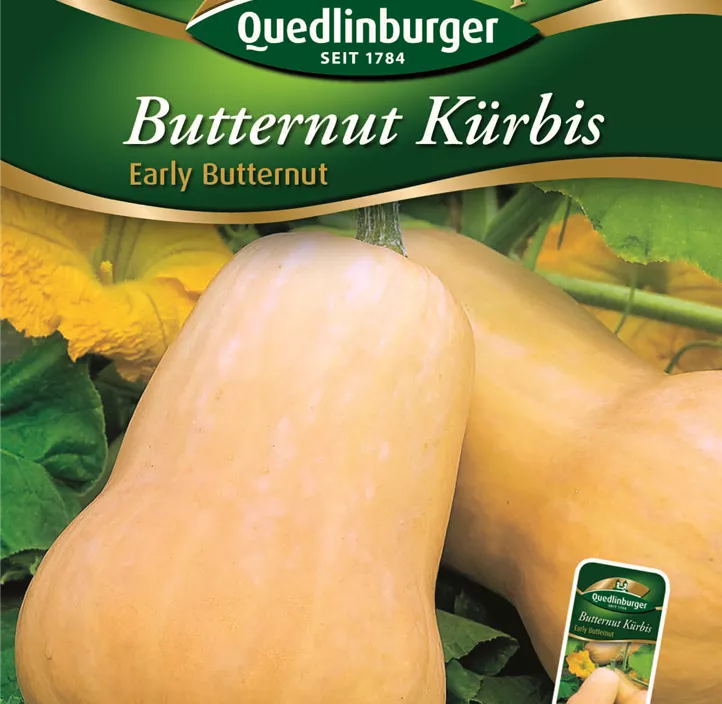 Butternut Kürbis Early Butter