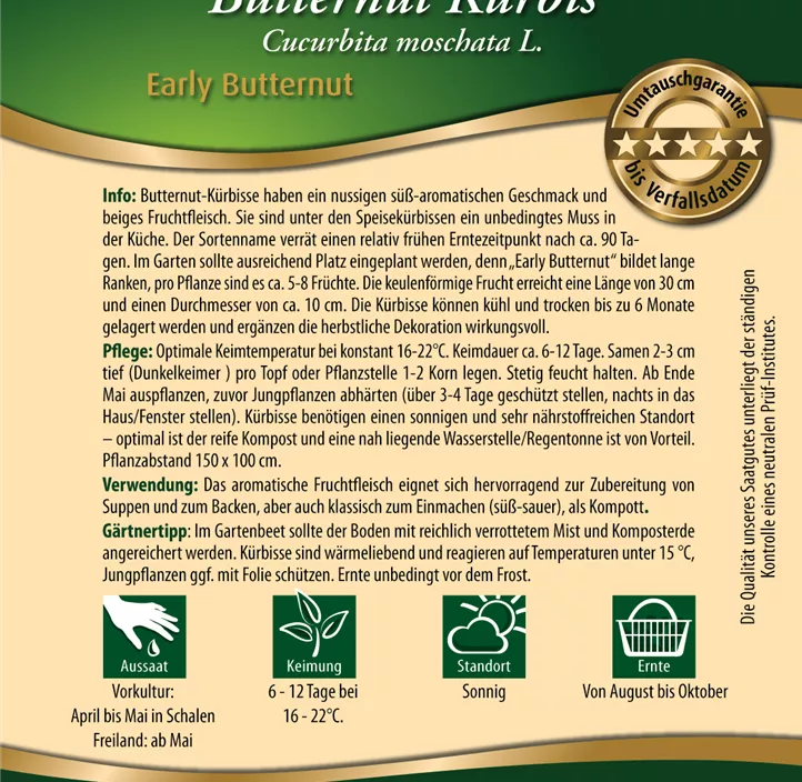 Butternut Kürbis Early Butter