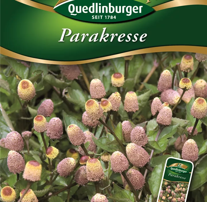 Parakresse