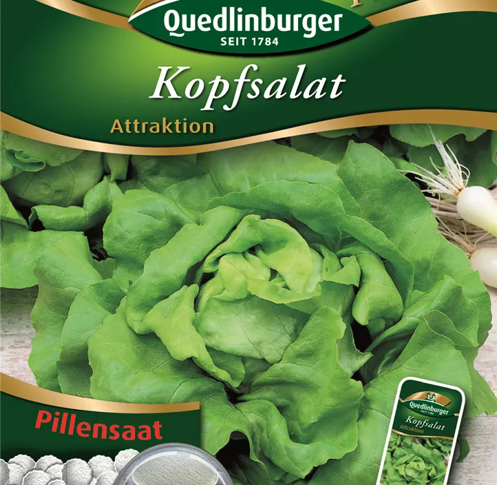 Kopfsalat Attraktion