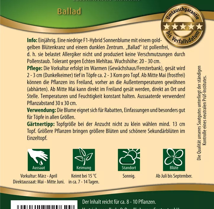 Zwergsonnenblumen Ballad