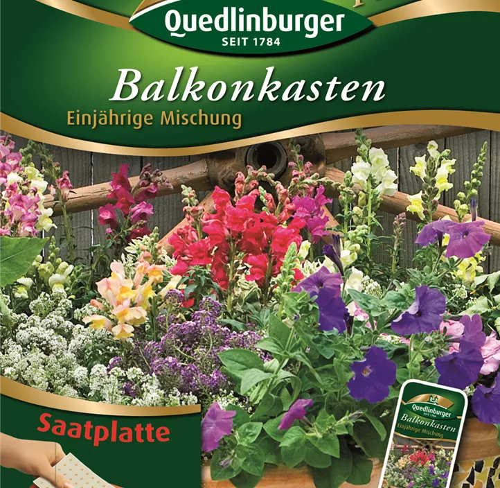 Balkonkasten Einjährige Mischung Balkonkasten Einjährige Mischung