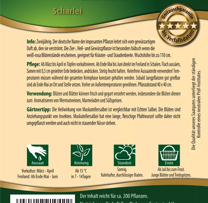 Salbei Muskateller- Scharlei