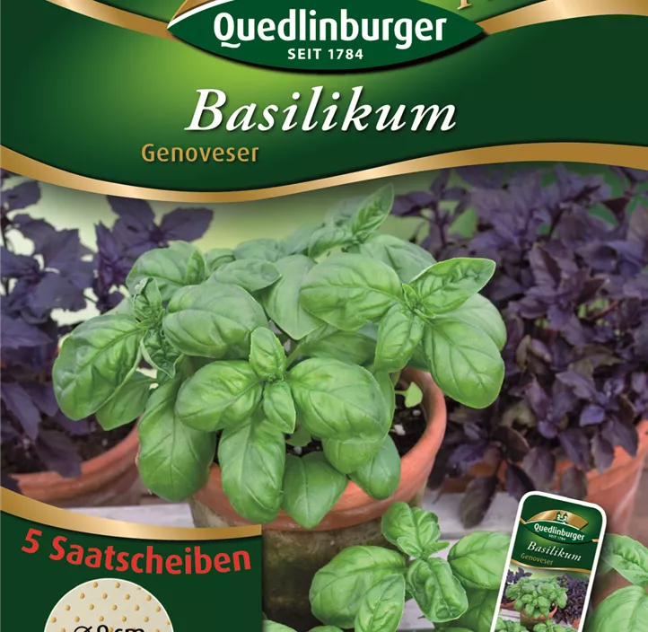 Basilikum Genoveser  Basilikum Genoveser