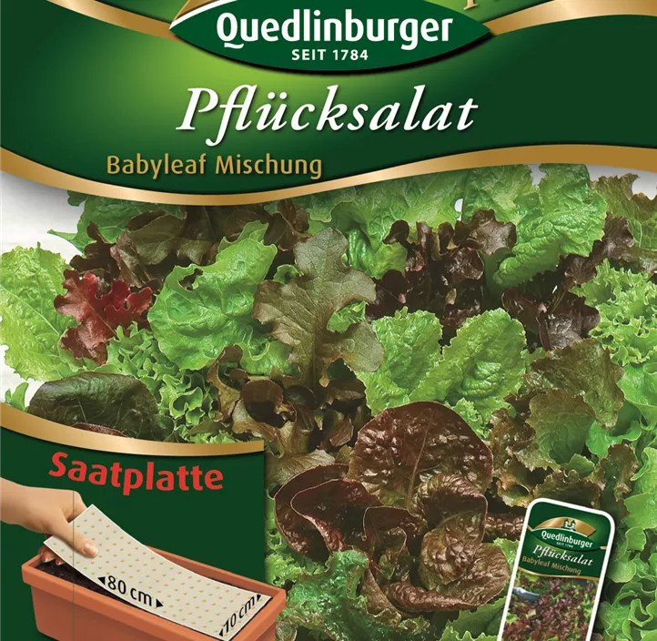 Pflücksalat Babyleaf Mischung