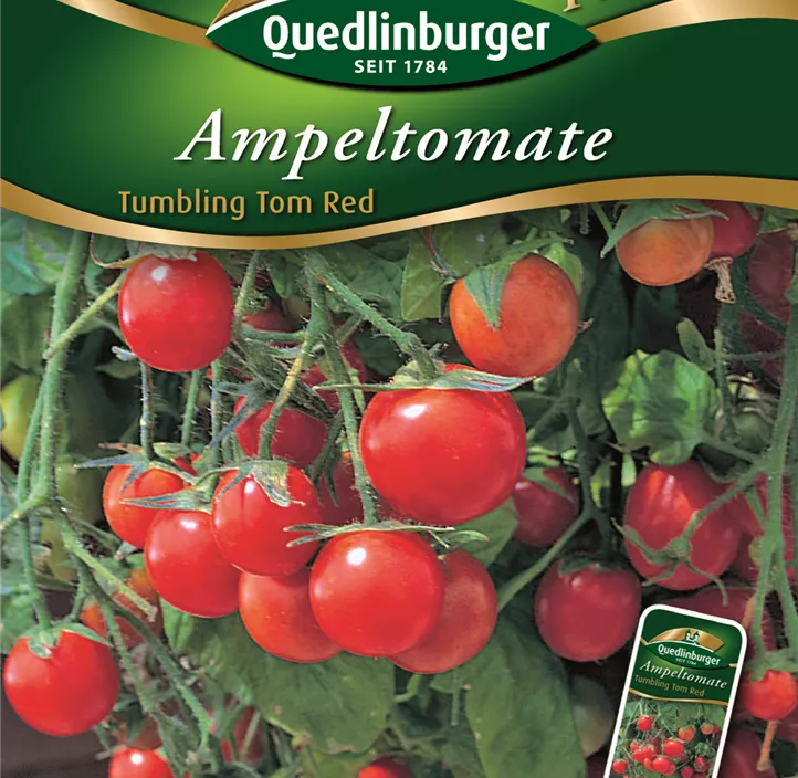 Ampeltomaten Tumbling Tom Red Ampeltomaten Tumbling Tom Red