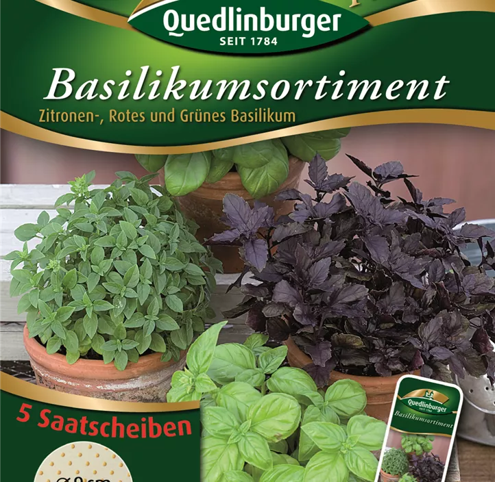Basilikumsortiment Zitronen-, Rotes und Grünes Basilikum Basilikumsortiment Zitronen-, Rotes und Grünes Basilikum