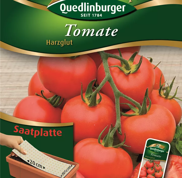 Tomate Harzglut  Tomate Harzglut