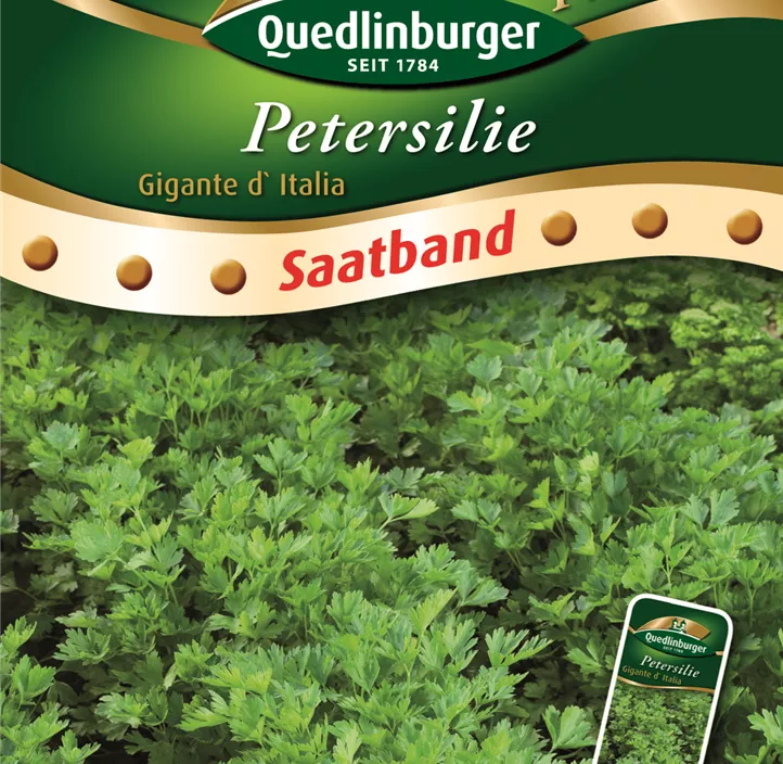 Petersilie Gigante d` Italia Petersilie Gigante d` Italia