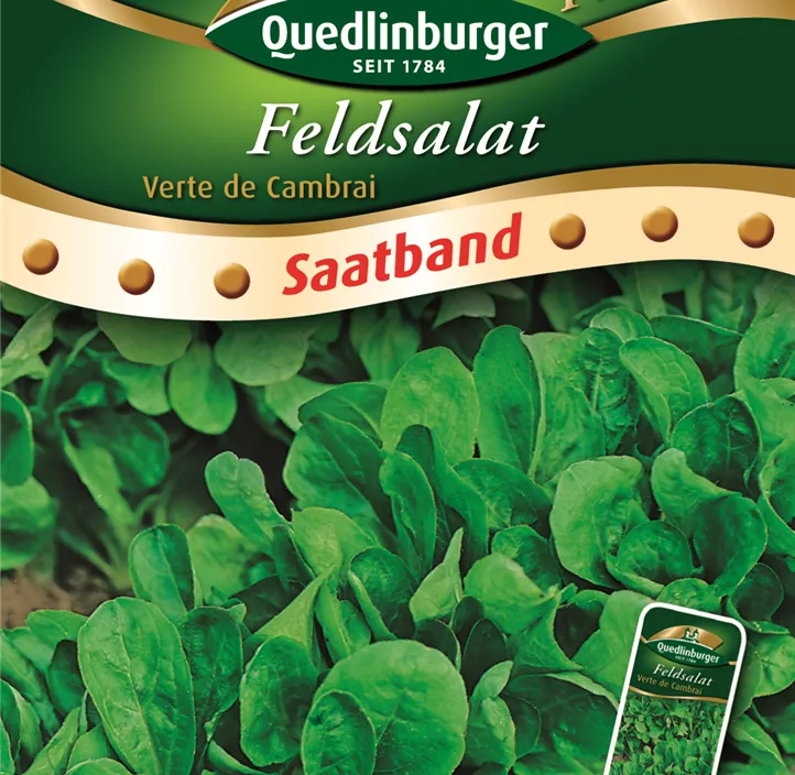 Feldsalat Verte de Cambra Feldsalat Verte de Cambra