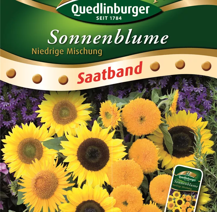 Sonnenblumen niedrige Mischung Sonnenblumen niedrige Mischung