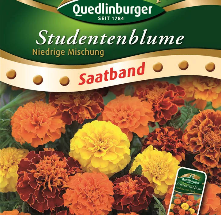 Studentenblumen niedrige Mischung Studentenblumen niedrige Mischung